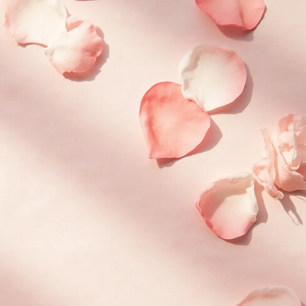 Rose petals and jasmine flowers